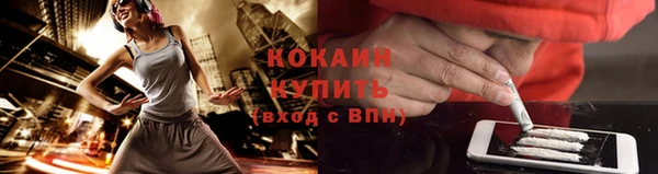 стаф Абаза
